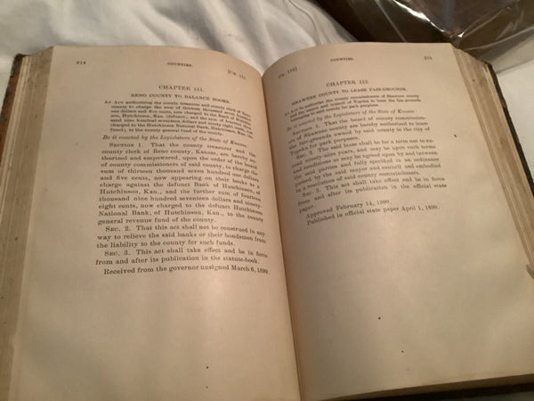 Antique  State of Kansas: Session Laws of 1893  law book State Property