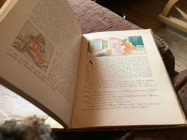 Vtg antique 1925 Raggedy Ann's Wishing Pebble by Johnny Gruelle  book