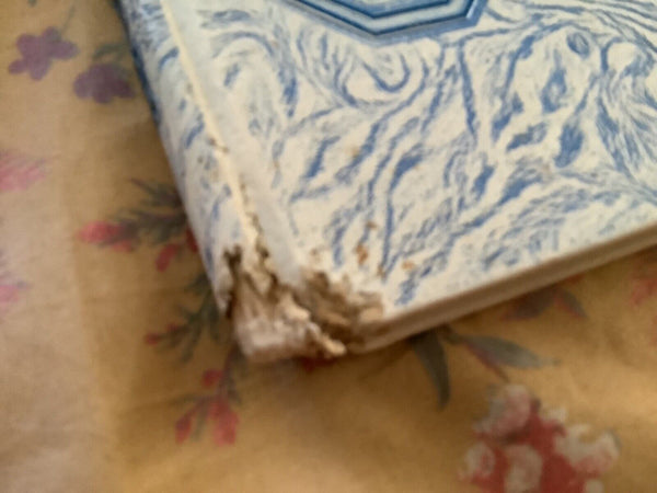 Vtg Grayson County College Saga Denison Texas 1977 Yearbook Annual