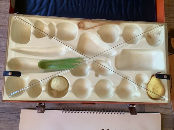 Vtg 1968 Peabody Language Development Learning Tool Kit Level P Metal Case  RARE