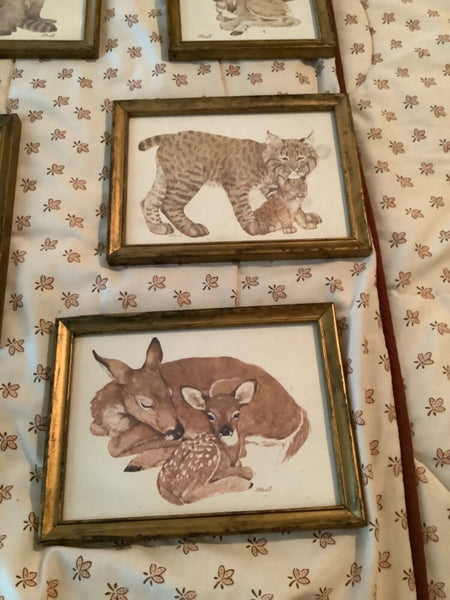 Vintage Lot LK Powell Prints Prairie Dog Sheep lion raccoon fox deer wood Frame