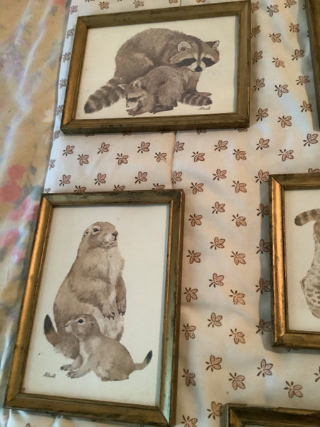 Vintage Lot LK Powell Prints Prairie Dog Sheep lion raccoon fox deer wood Frame