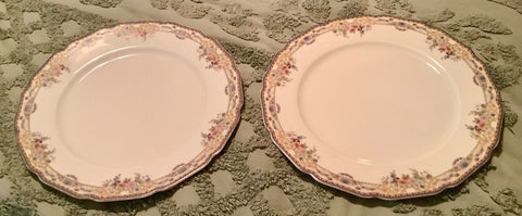 Laconia Pair Vintage THOMAS IVORY Germany Porcelain dinner Plates roses floral