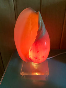 VTG. Art Nouveau Nautilus Sea Shell Lucite base Table Lamp Nightlight light