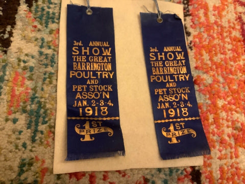 Vtg 1918 The great Barrington Live poultry pet Stock Show Ribbon 1st prize place