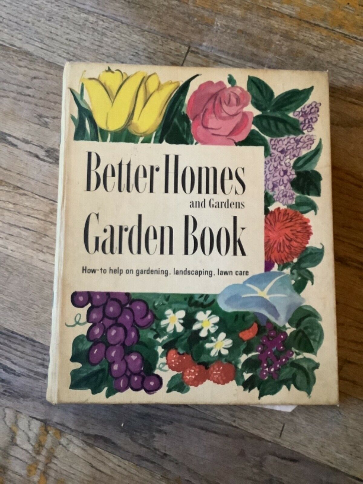 Vintage 1954 My Better Homes & Gardens Garden gardening Book Ring Binder