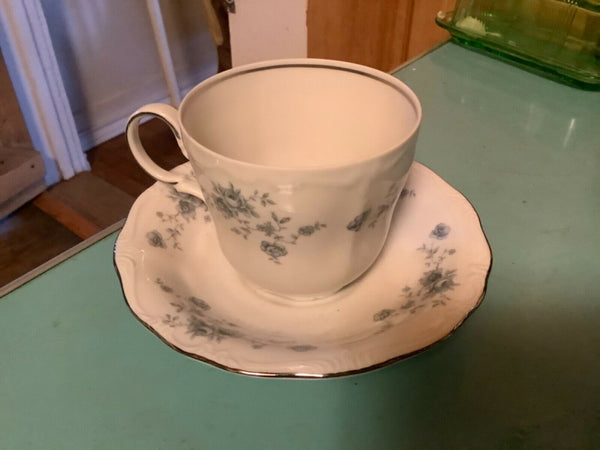 Vtg Johann Haviland Blue Garland Bavaria Germany China Coffee Cup & Saucer