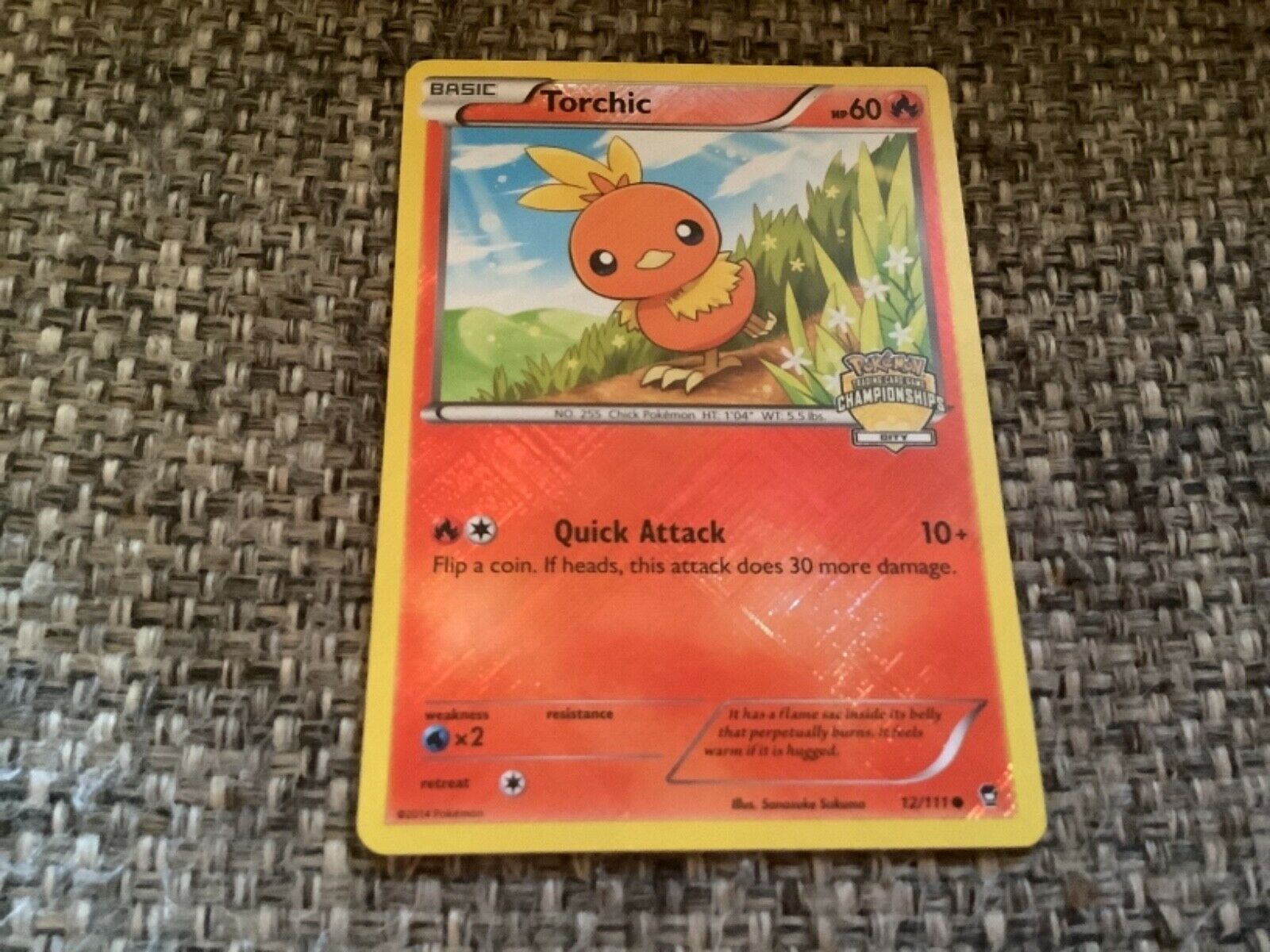 Torchic 12/111 Staff Stamped City Championships Promo Pokemon